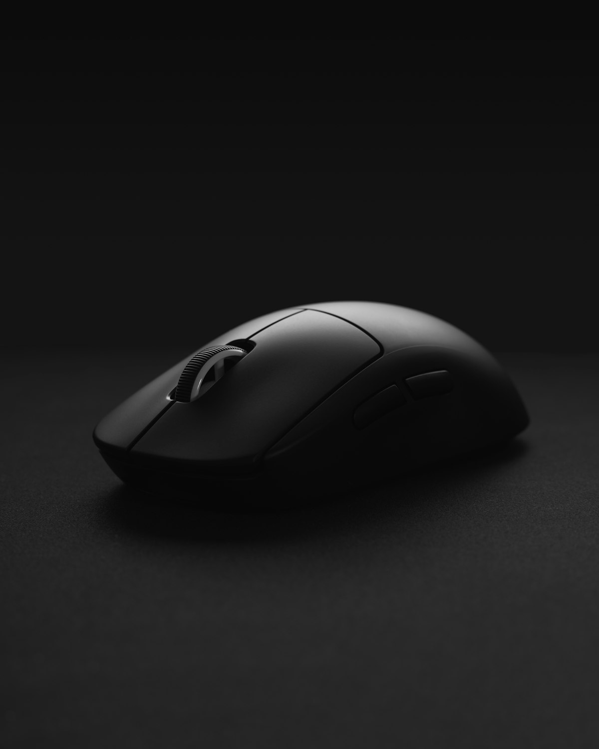 High-performance mouse